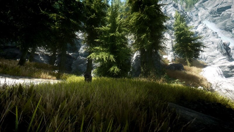 forest path with rocky cliffs