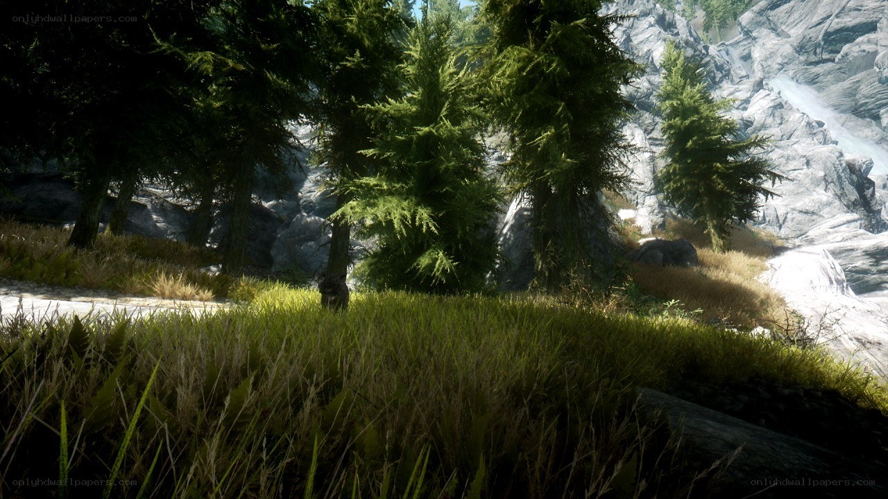 forest path with rocky cliffs