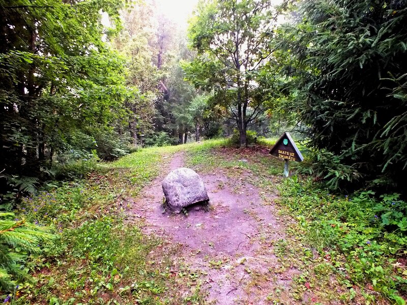 Forest Path with Sign — Green