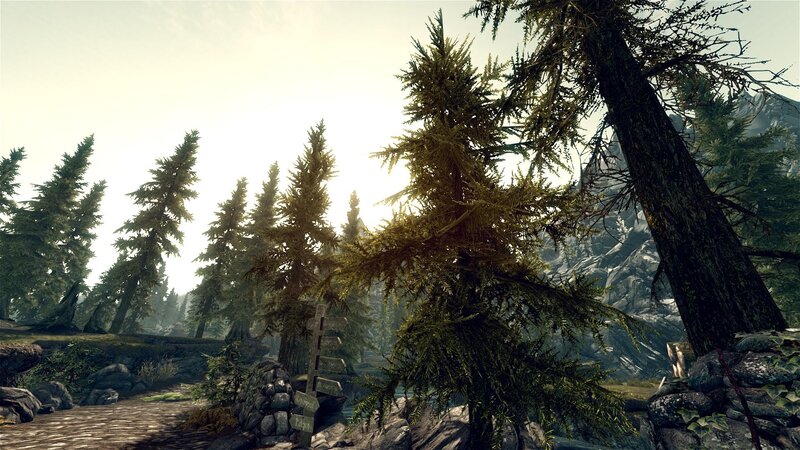 forest path with signpost