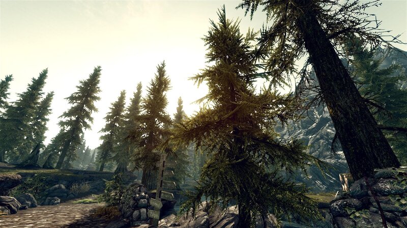 Forest Path with Signpost — Green