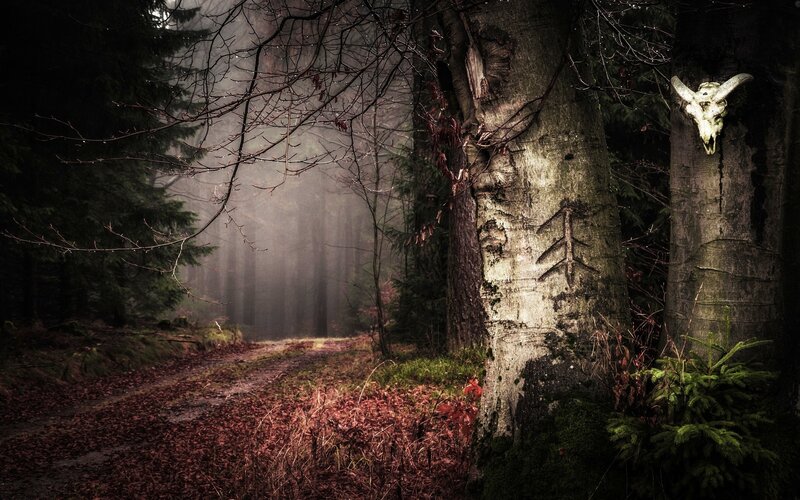 Forest Path with Skull