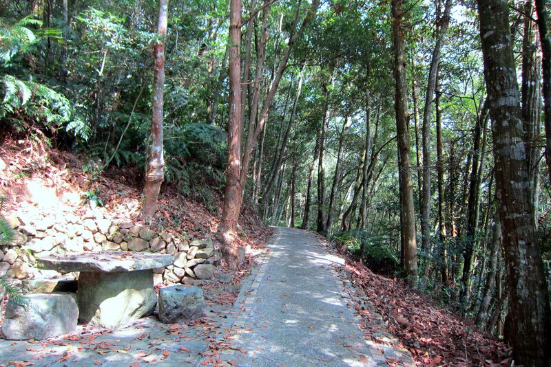 Forest Path with Stone Bench — Green