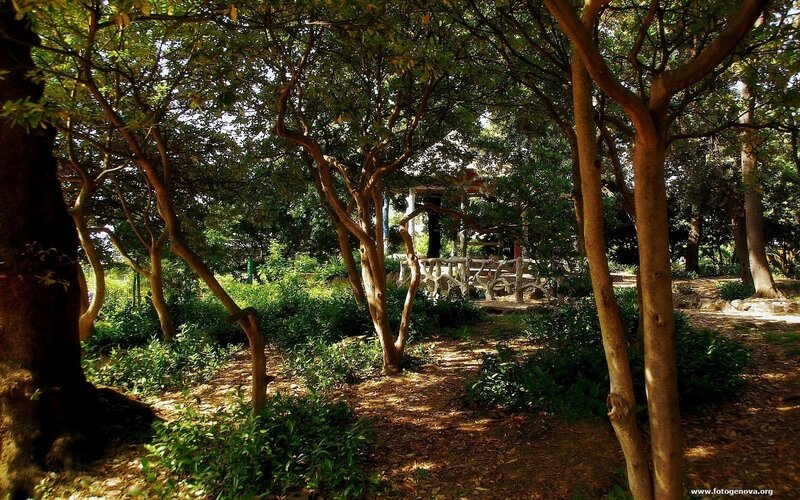 Forest path with stone bench