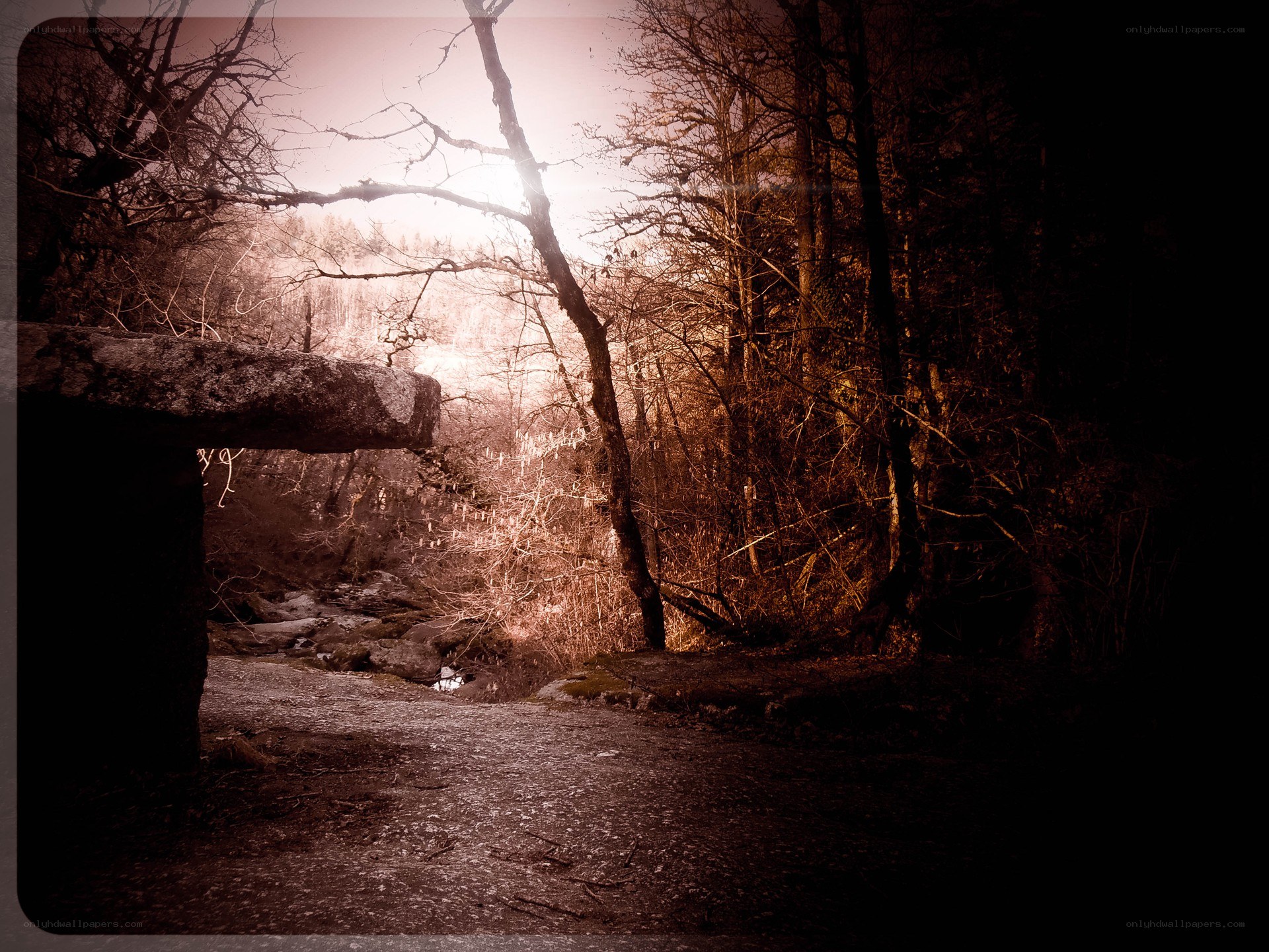Forest path with stone bridge