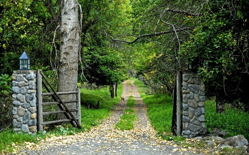 Forest path with stone gate