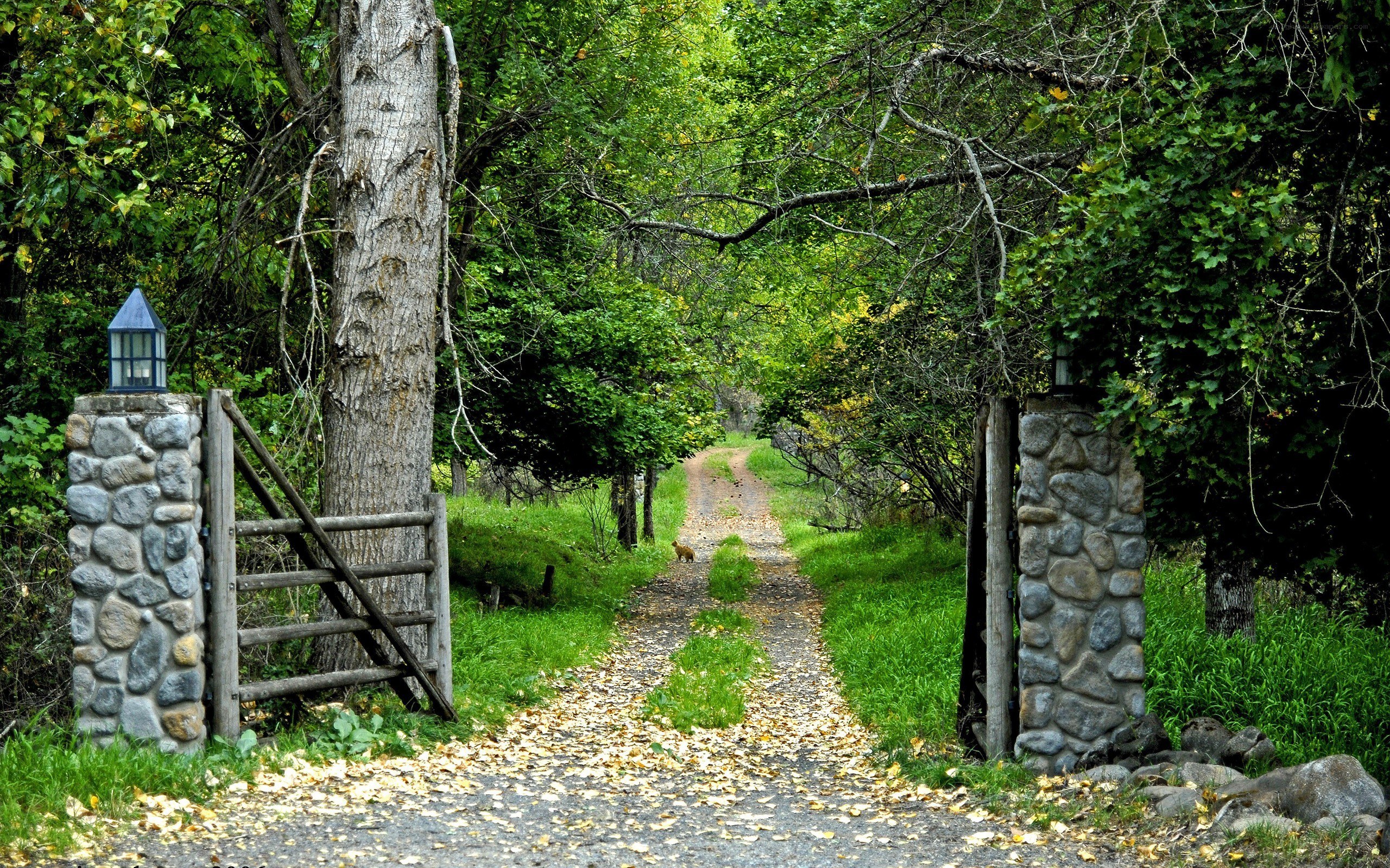 Forest path with stone gate