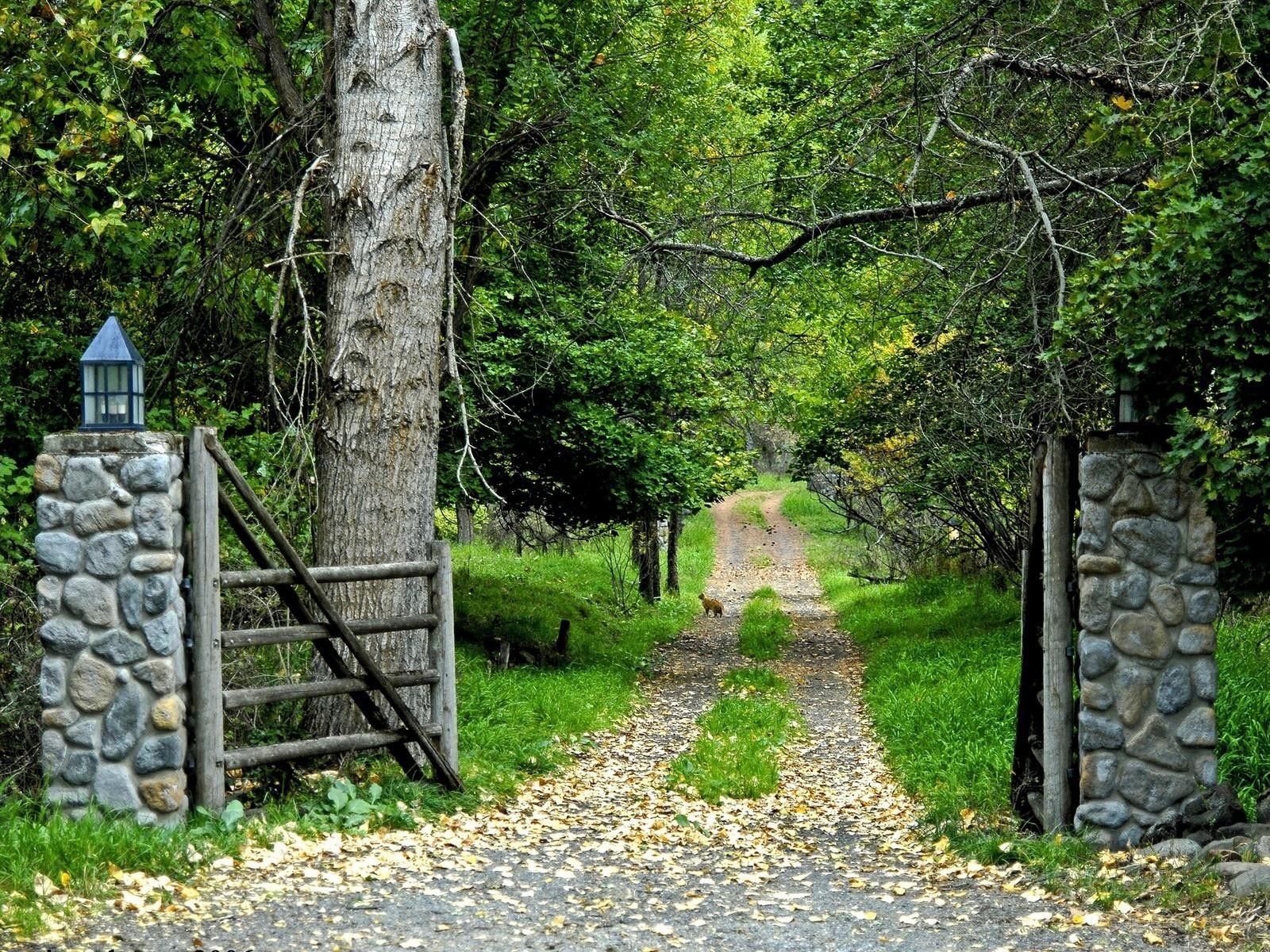 Forest path with stone gate