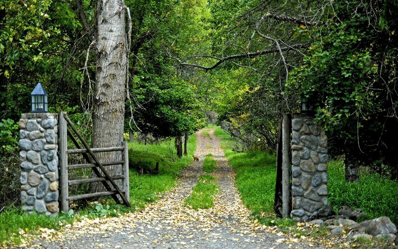 Forest path with stone gate