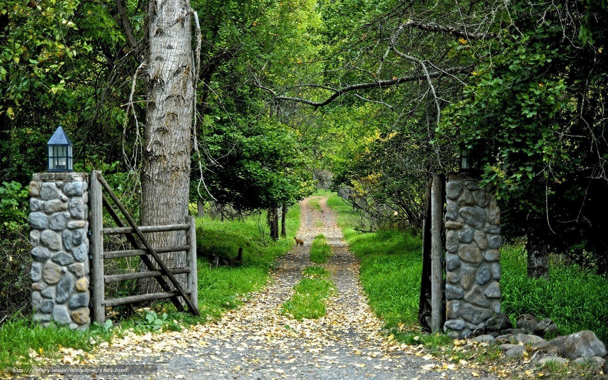 Forest path with stone gate