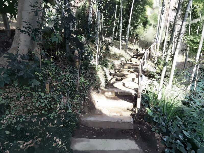 Forest path with stone steps