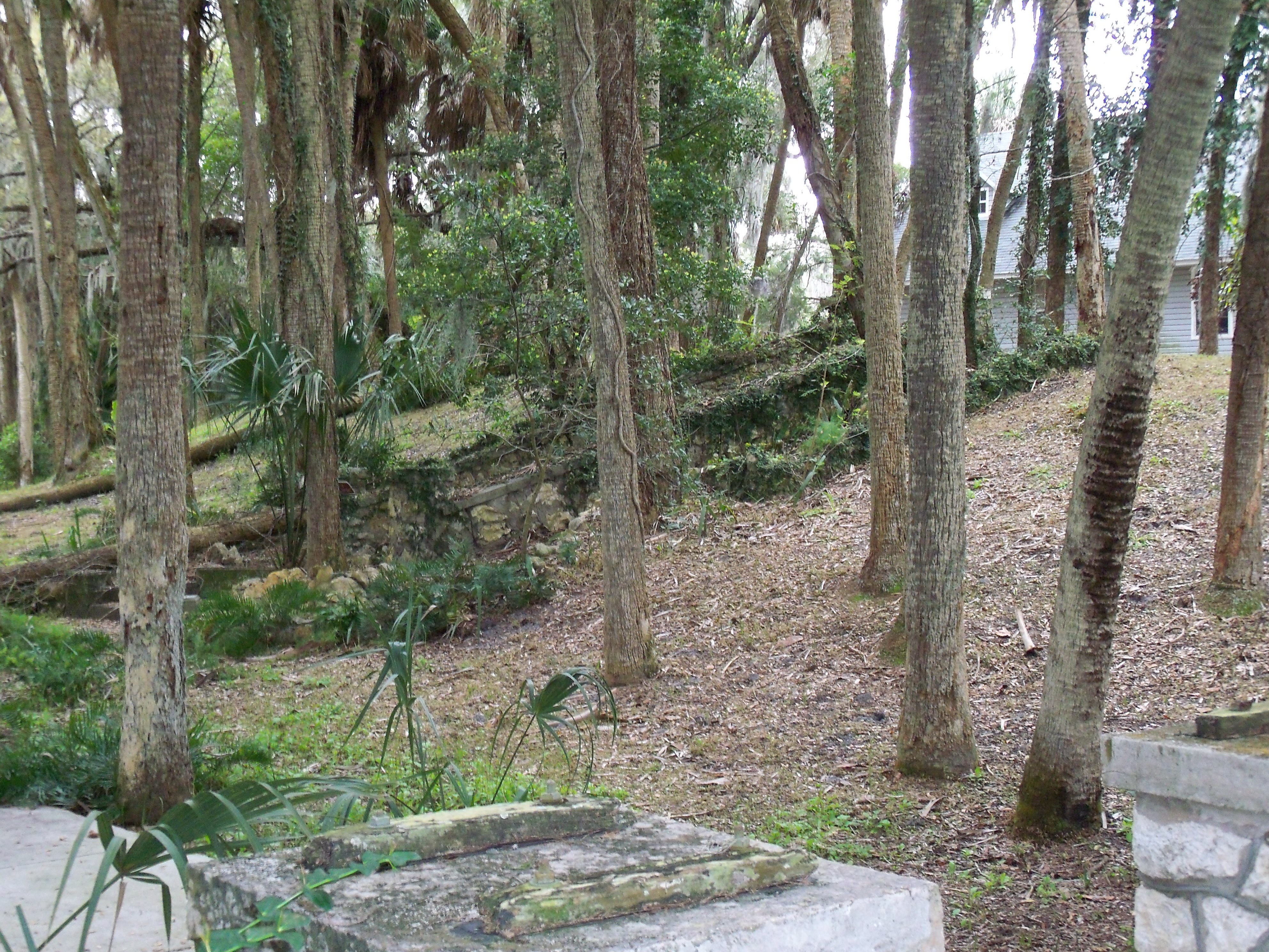 Forest path with stone structure