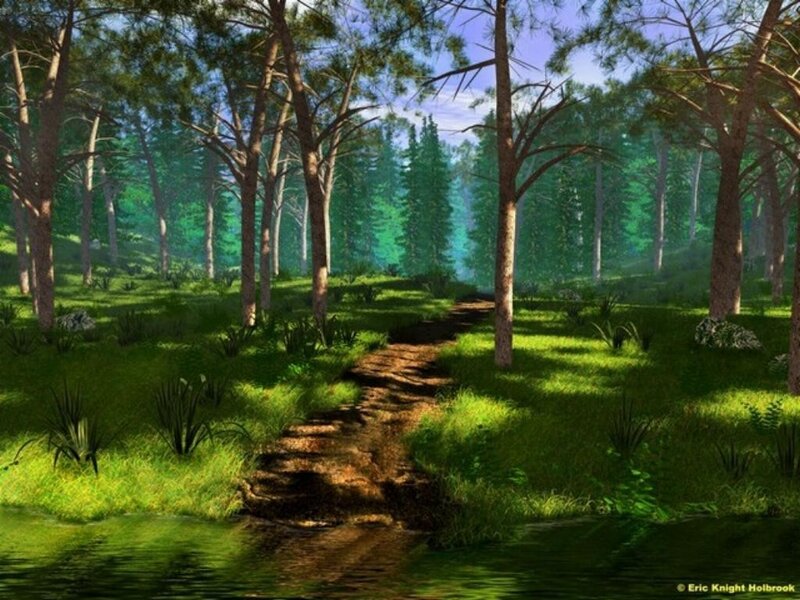 Forest path with stream