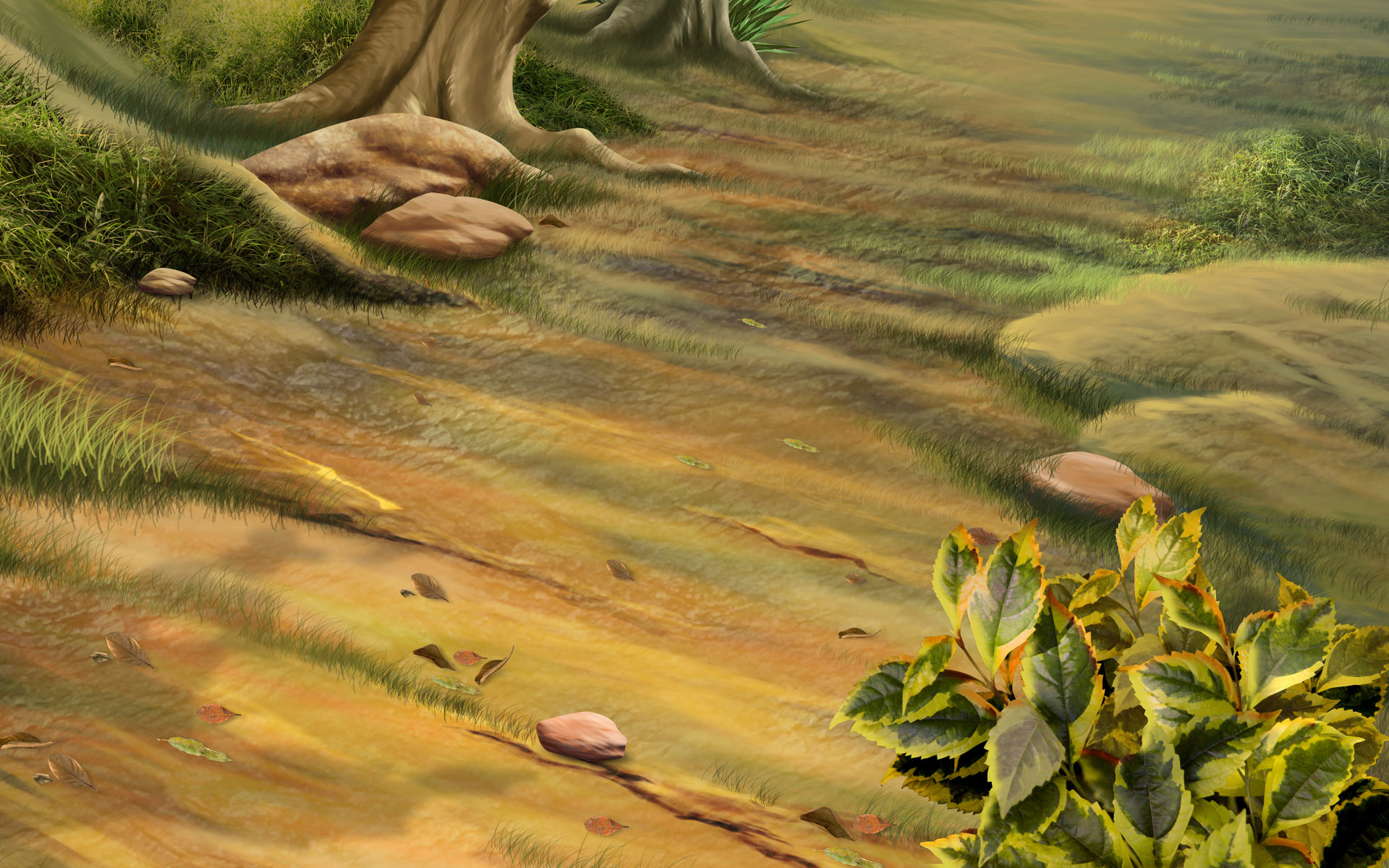 Forest path with stream