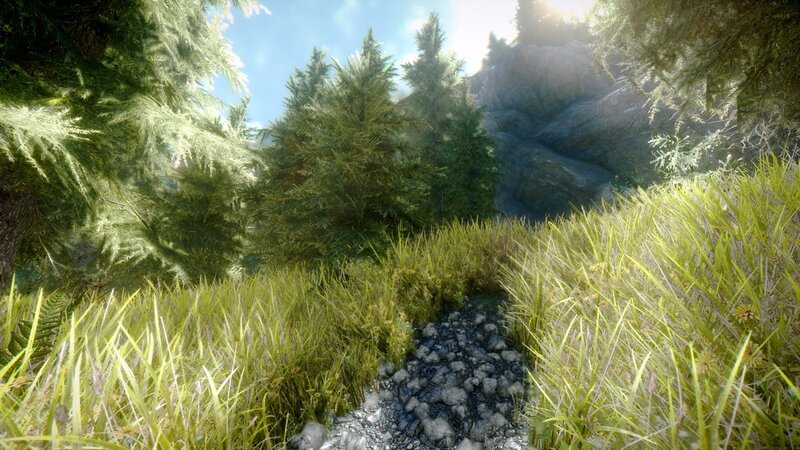 forest path with stream