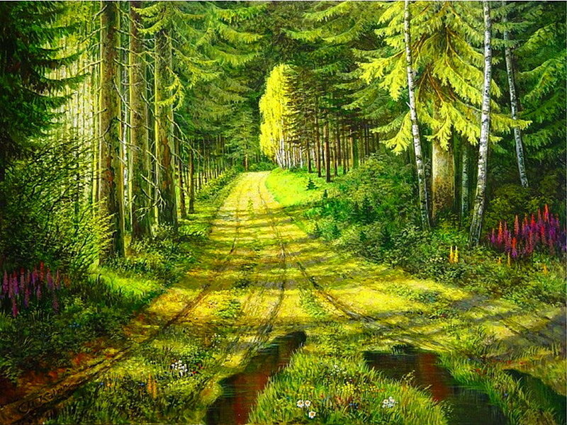 Forest Path with Stream — Green, Serene, Afternoon