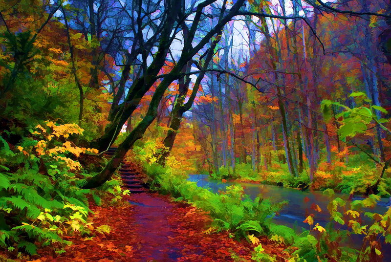Forest Path with Stream — Green, Serene, Autumn