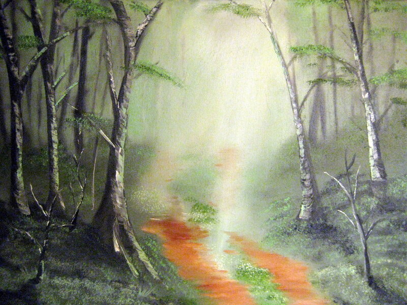 Forest path with sunlight