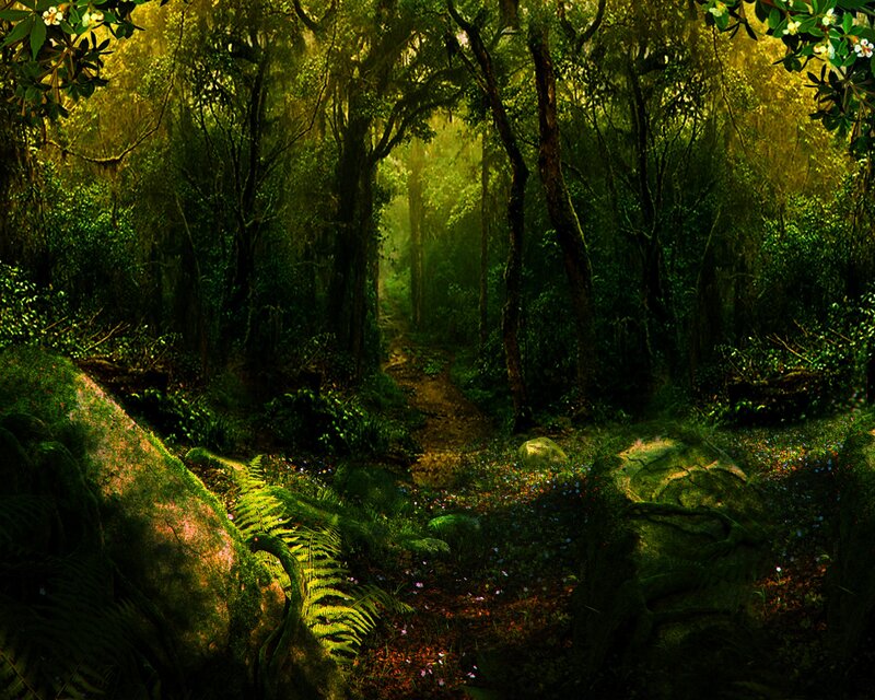 Forest Path with Sunlight — Green, Serene, Morning, Digital Art, Trees