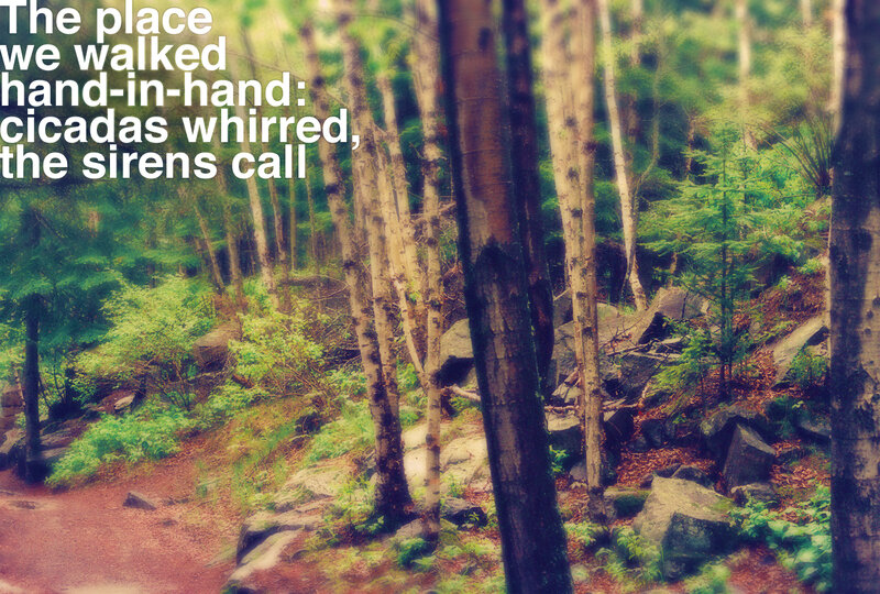 forest path with text overlay