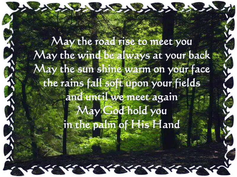 Forest Path with Text