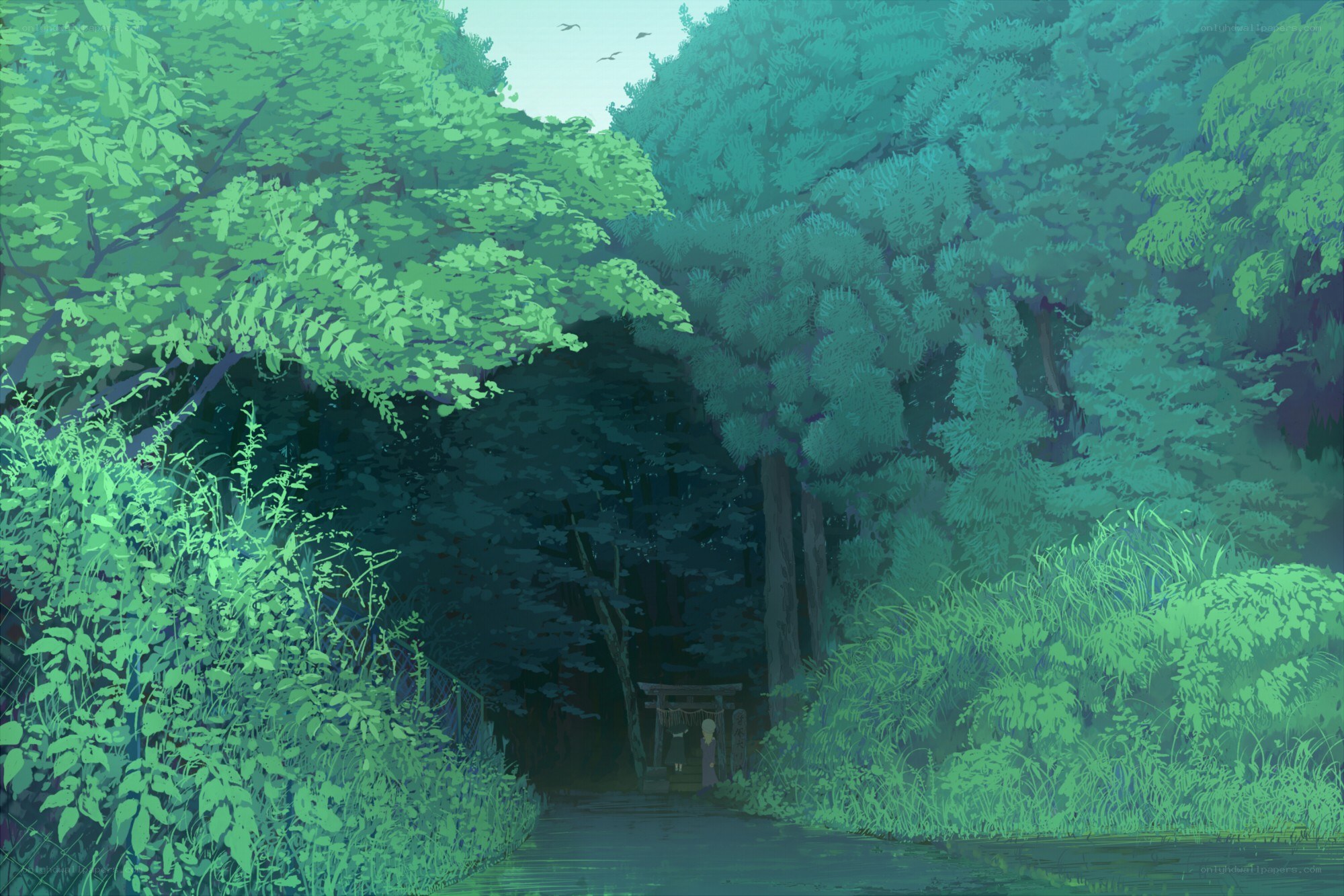 Forest path with torii gate
