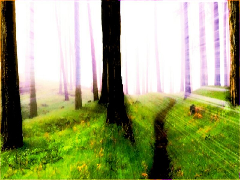 Forest Path with Trees — Green, Dreamy