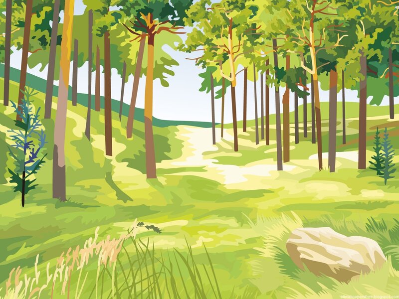 Forest Path with Trees — Green, Serene, Afternoon, Illustration