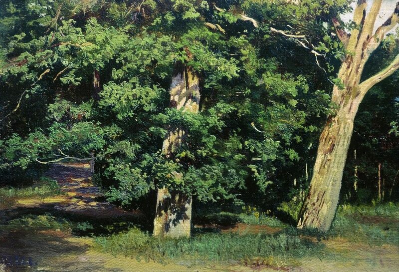 Forest Path with Trees — Green, Serene, Afternoon, Painting, Grass, Brown