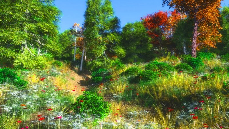 Forest Path with Wildflowers — Green