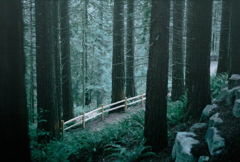 Forest path with wooden railing