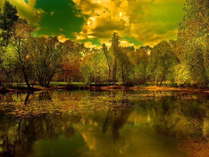 Forest Pond at Dusk — Green