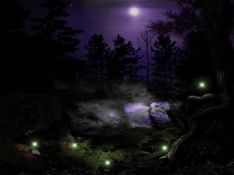 Forest Pond at Night — Purple
