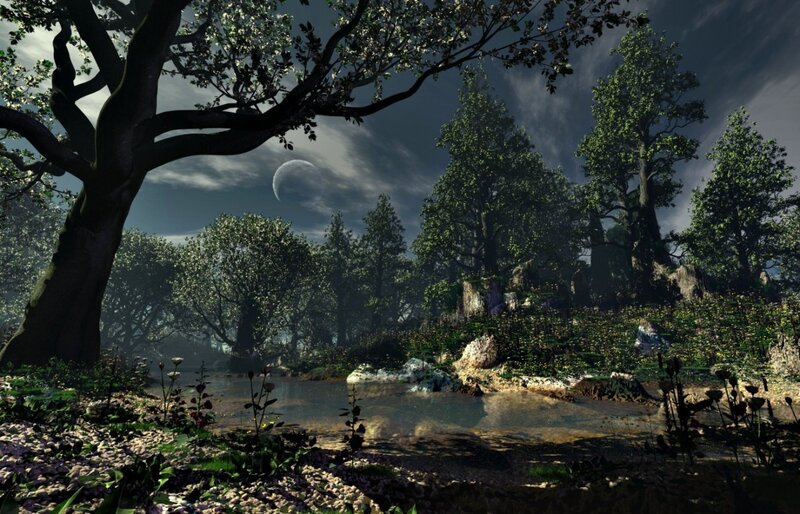 Forest Pond at Night