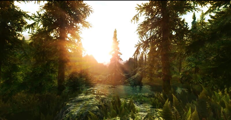 Forest Pond at Sunrise — Green, Serene