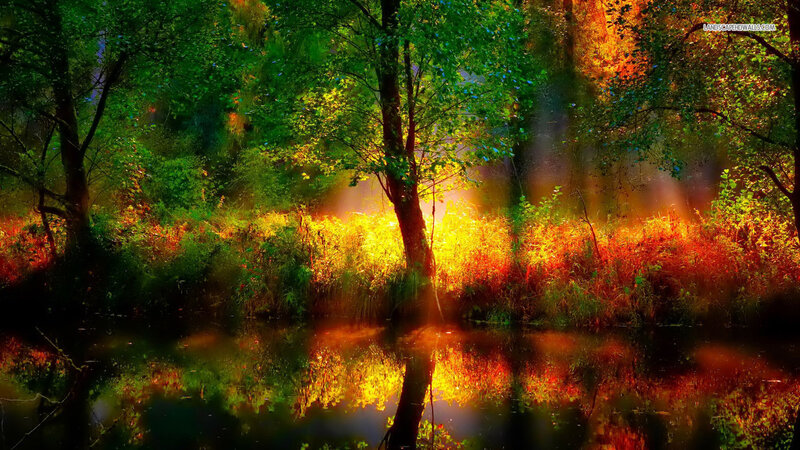 Forest Pond at Sunset — Green, Dramatic, Digital Art