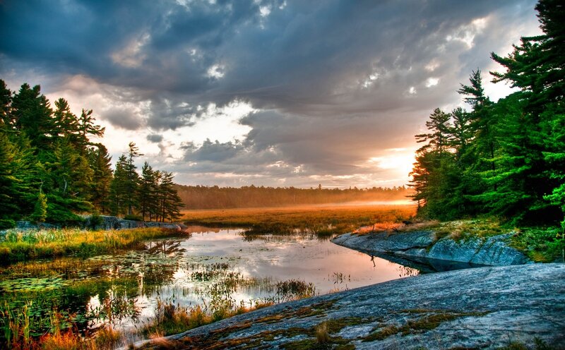 Forest Pond at Sunset — Green, Dramatic