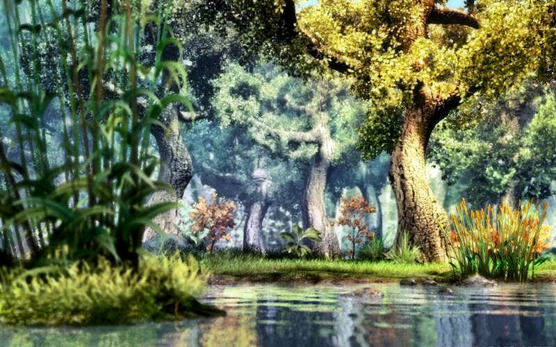 Forest pond landscape