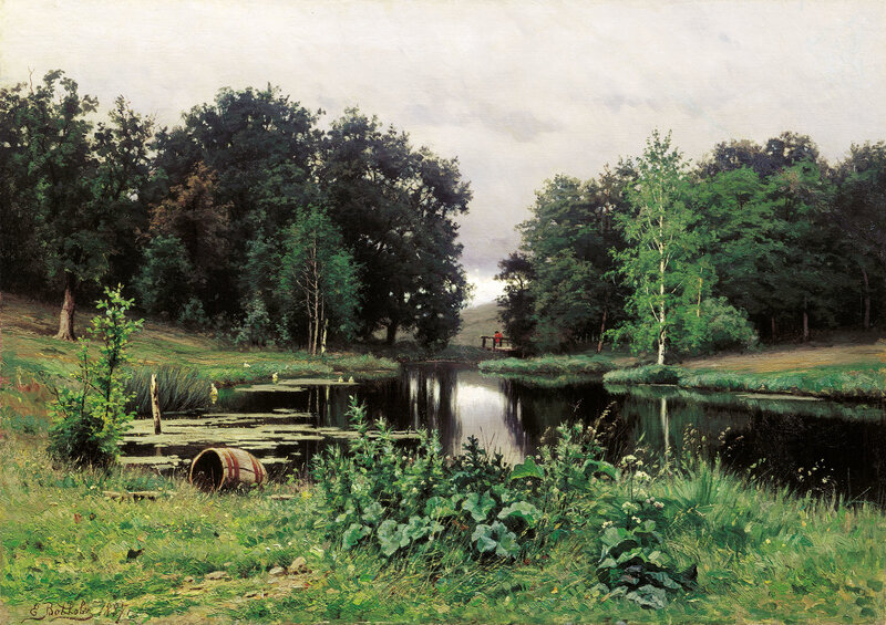 Forest Pond Landscape