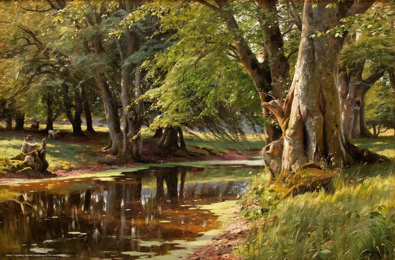 Forest pond with deer