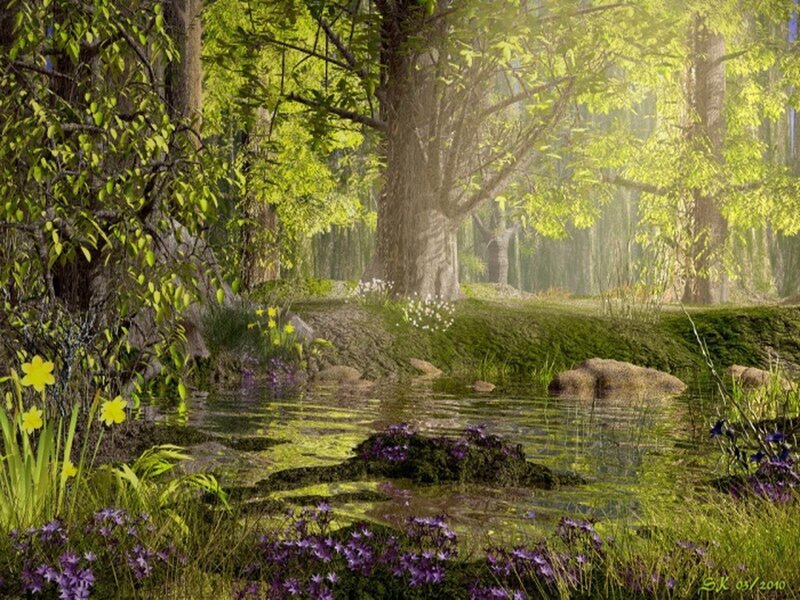 Forest Pond with Flowers — Green