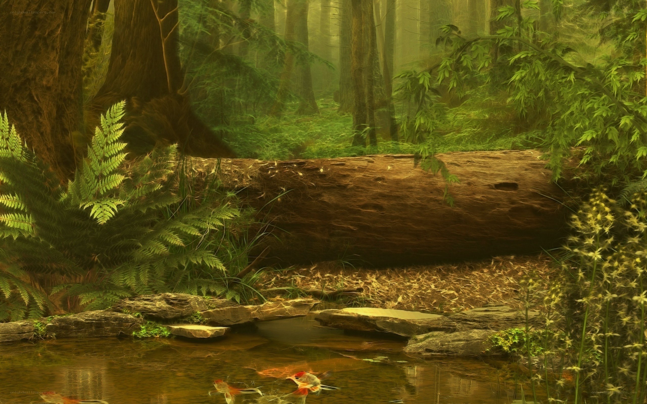 Forest pond with koi fish