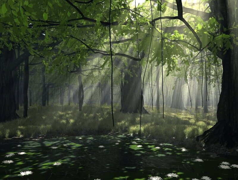 Forest Pond with Lilies — Green