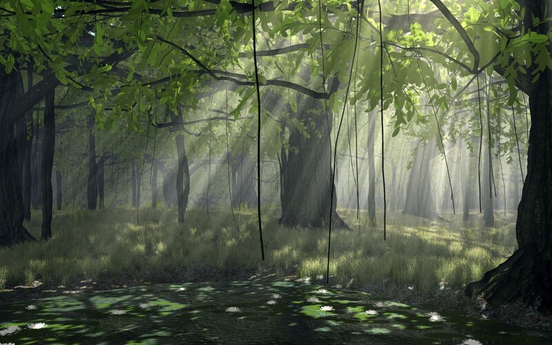 Forest Pond with Lilies