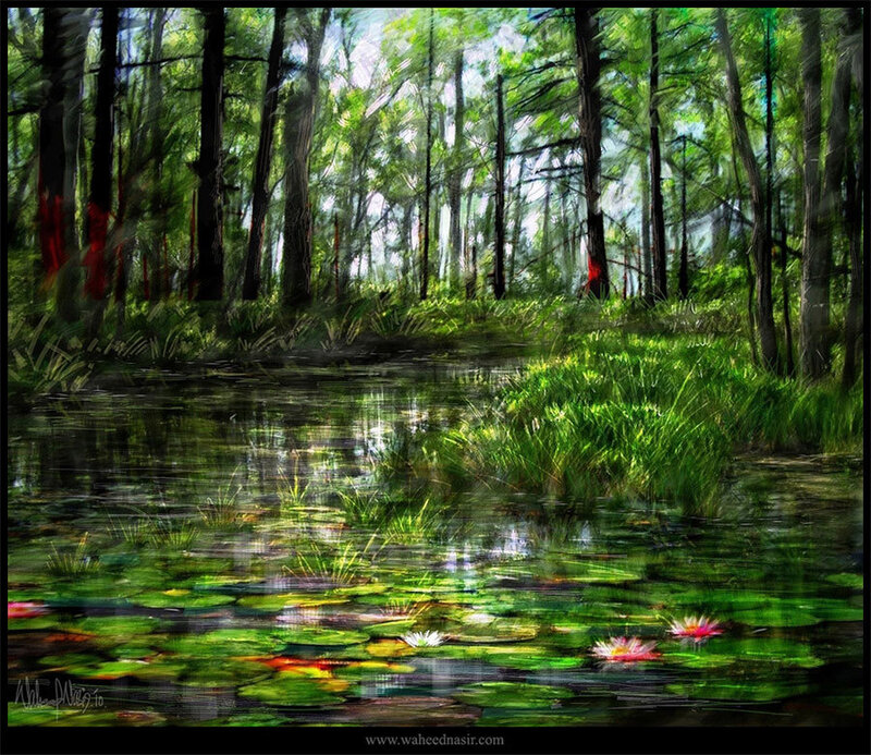 Forest pond with lily pads