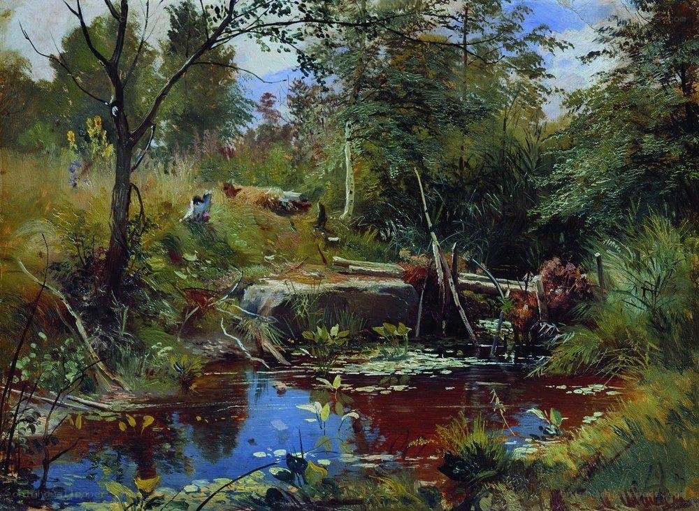 Forest pond with lily pads