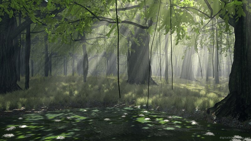 Forest Pond with Lily Pads — Green, Serene