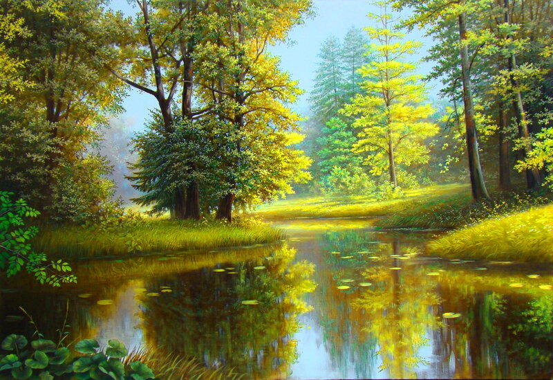 Forest Pond with Lily Pads — Green