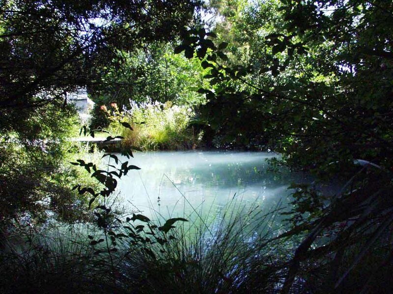 Forest pond with mist