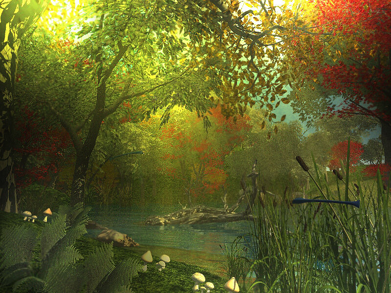 Forest Pond with Mushrooms — Green, Serene